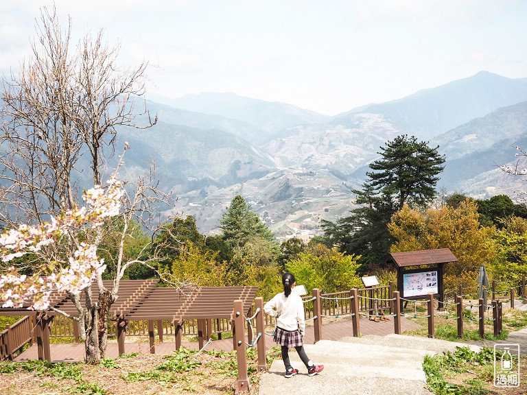 千櫻園+福壽山農場露營區