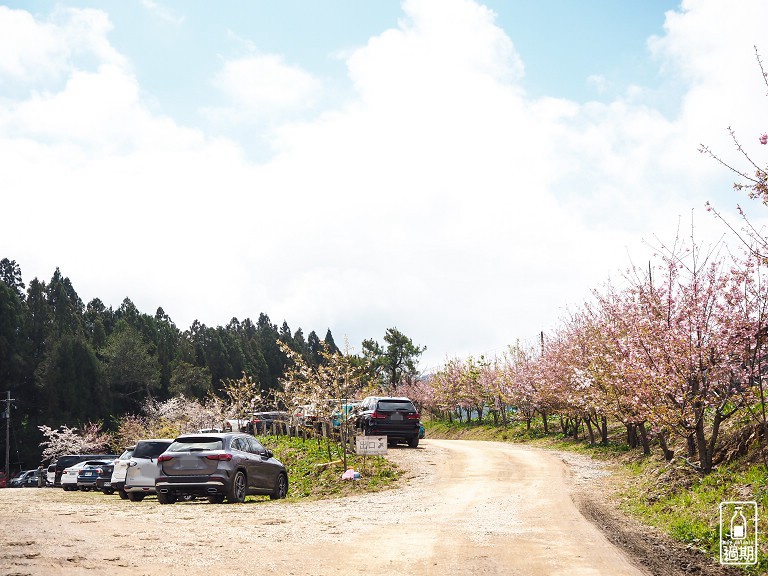 千櫻園+福壽山農場露營區