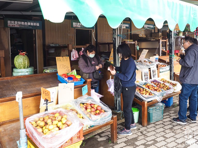 千櫻園+福壽山農場露營區