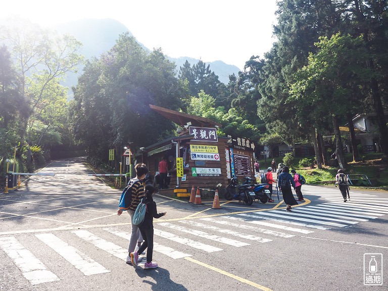 溪頭自然教育園區+福華雲杉自助餐
