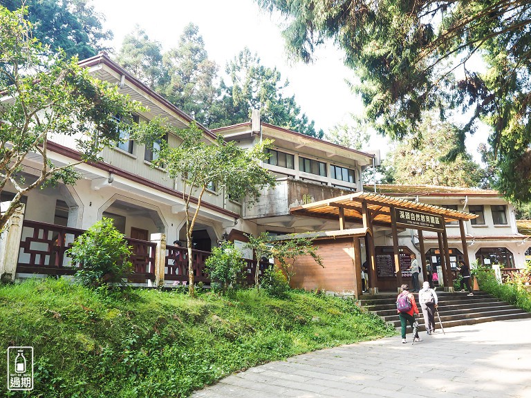 溪頭自然教育園區+福華雲杉自助餐