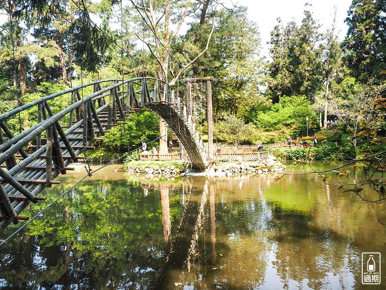 溪頭自然教育園區+福華雲杉自助餐