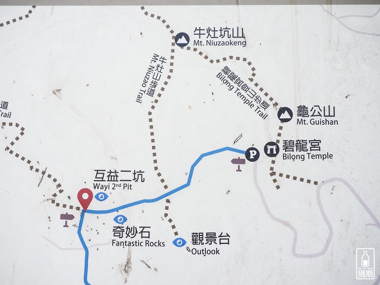 百年大榕樹