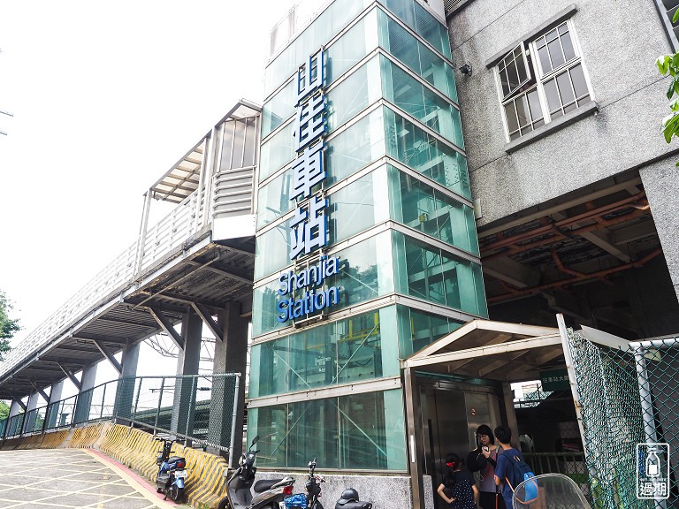 百年大榕樹