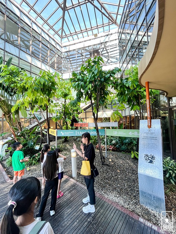 77巧克力共和國