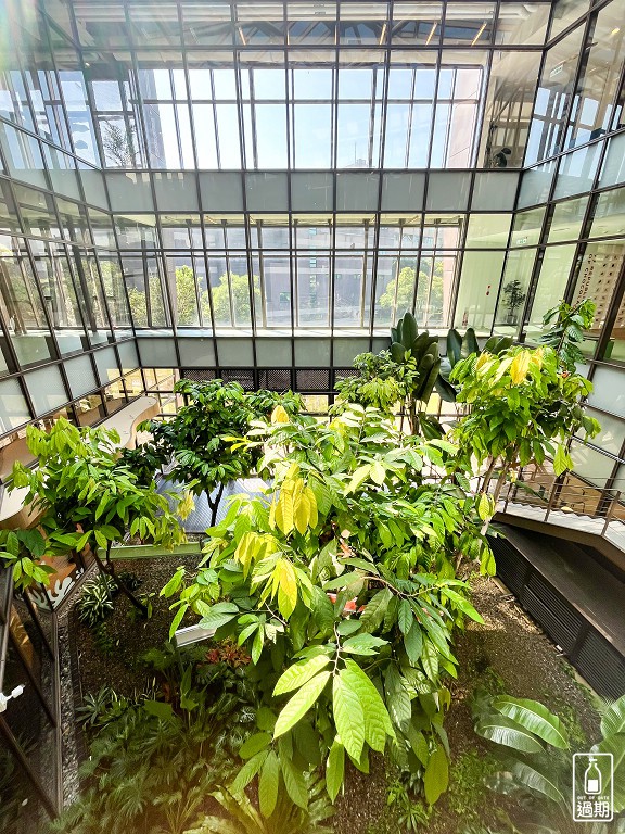 77巧克力共和國