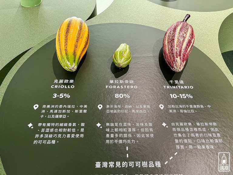 77巧克力共和國