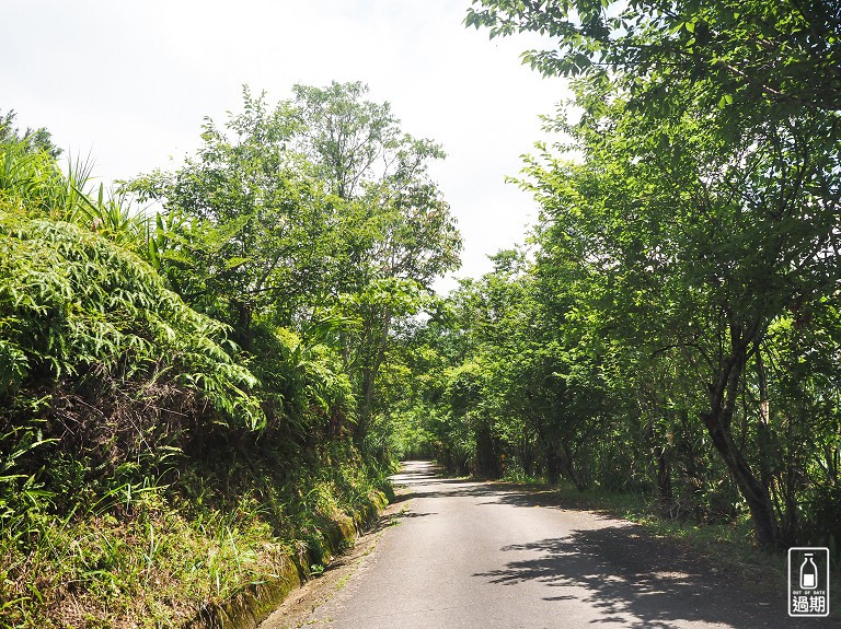 玉蘭茶園