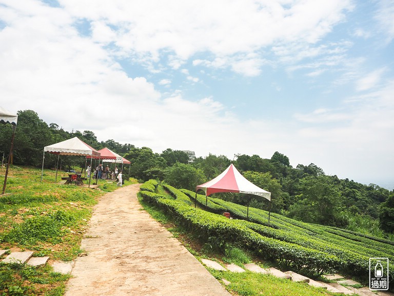 玉蘭茶園