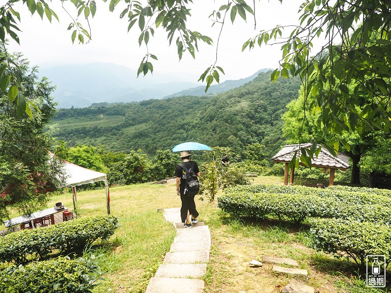 玉蘭茶園