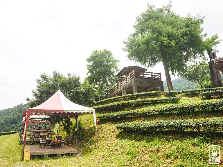 玉蘭茶園