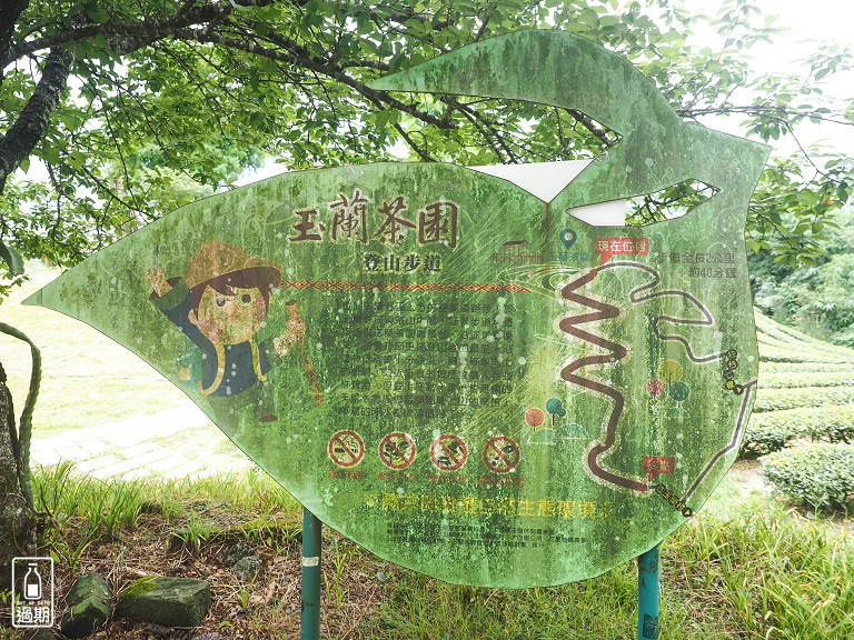 玉蘭茶園