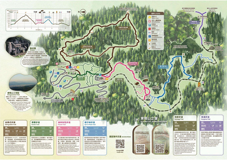 東眼山國家森林遊樂區