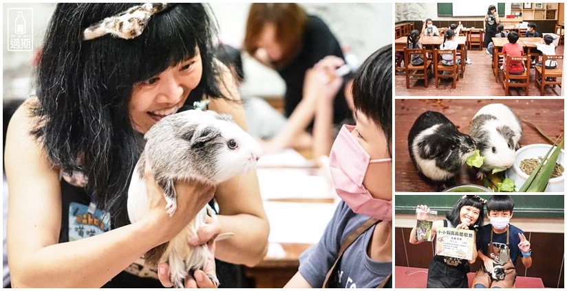 台灣昆蟲館小小動物飼育員