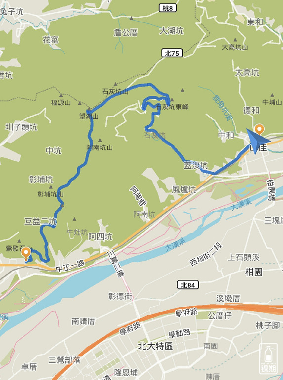 百年大榕樹
